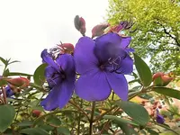 DSCI2348.webp