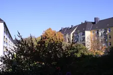 _MG_9544.webp _MG_9544.webp