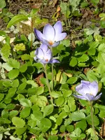 P1070900.webp