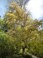 P1070930.webp