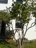 15083272772161233573705.webp