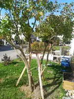 1508327308976174666403.webp