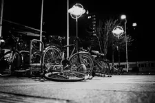 _MG_8846.webp