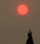 rote Sonne am späten Nachmittag2_17102017_900.JPG