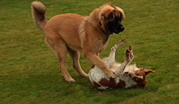 Juli_Estrella_spielen3_900.webp