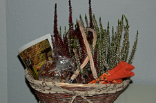 herzlich willkommen_800.webp