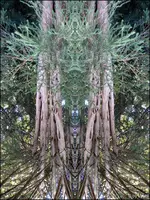 C__F011.webp