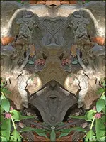 C__F013.webp
