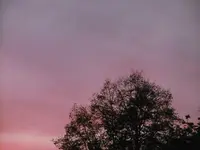 P1020120sonnenuntergang.webp