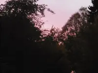 P1020119sonnenuntergang.webp