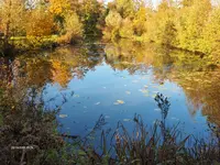 Herbst.webp