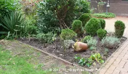 Forum Beet neu Lesezimmer P1080591.webp