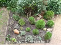 Forum Beet neu Lesezimmer von oben P1080598.webp