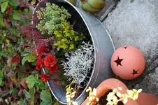 herbst4.webp