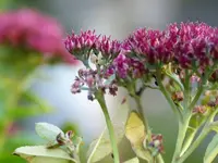image001.webp