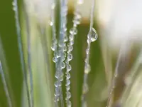image009.webp