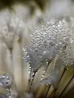 image011.webp