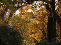 image018.jpg