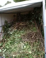 Anhaenger.webp Anhaenger.webp