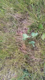 IMAG1463.webp