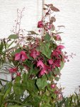 DSCN6216.jpg