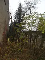 SAM_3223.webp
