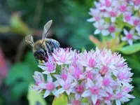 DSCF0370 (2).webp