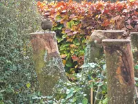 DSCF0445 (2).webp