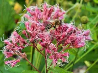 DSCF0459 (2).webp