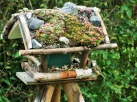 DSCF0466 (2).webp