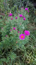 IMG_20170928_181056 - Kopie.webp