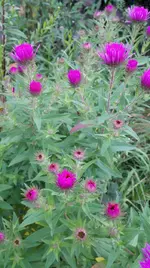 IMG_20170928_181109 - Kopie.webp