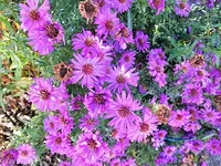 DSCI2721.webp