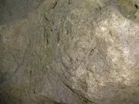 P1020139stein.webp