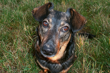 trude portraet02-1.webp