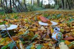 2017-10-21 11.11.53.jpg