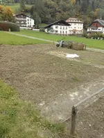 2017 9 Gründüngung 1.webp 2017 9 Gründüngung 1.webp