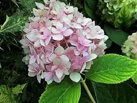 DSCI2774.webp