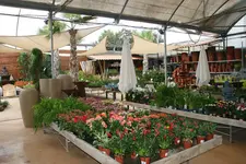 Gartencenter0817.jpg