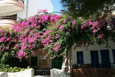 Port de Pollensa6217.webp