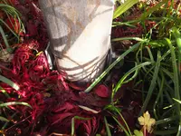 DSCF0505 (2).webp