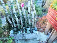 DSCF0502 (2).webp