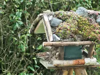 DSCF0493 (2).webp