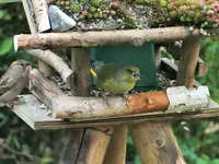 DSCF0496 (2).webp