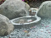 DSCF0499 (2).webp