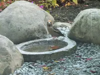 DSCF0500 (2).webp