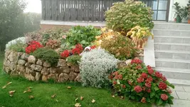 IMG_20171018_084229296.webp