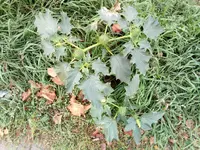 IMG_20171021_162413.webp