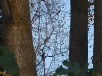 P1090631.webp