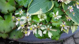 IMG_20171019_175915.webp